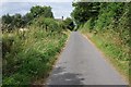 Country road at Lower Burton