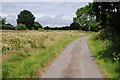 Country road passing Pigmore Common