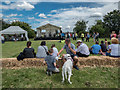 Open Day, Firs Farm Wetlands, London N21