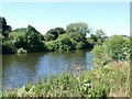 The River Trent at Colwick