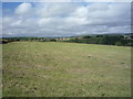 Grassland, Rawtonstall