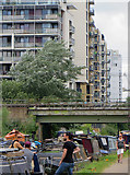 TQ3682 : By the Regent's Canal, Mile End by Paul Harrop
