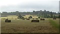 SO8845 : Hay bales in a field at Croome by Philip Halling