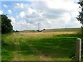 Barn Field