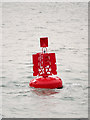 SU4901 : Castle Point Marker Buoy by David Dixon