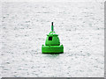 SZ5396 : South Ryde Marker Buoy in The Solent by David Dixon