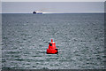 SZ6791 : St Helens Marker Buoy, The Solent by David Dixon