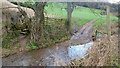 A footpath for wet feet