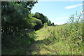 Riverside Walk, Colmonell