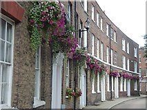 TF4609 : Union Place - Wisbech in Bloom 2016 by Richard Humphrey