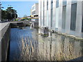 The New River in front of Enfield Civic Centre, Silver Street, EN1 (2)