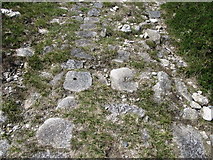 J3728 : Stone sleepers on the Drinneevar Loop by Eric Jones