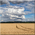 SP2855 : View towards Staple Hill Farm by David P Howard
