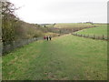 SE9332 : Footpath  going  down  Comber  Dale by Martin Dawes