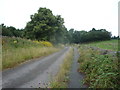 Track beside Baslow Road (A619)