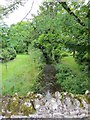 River Hooke at Toller Porcorum