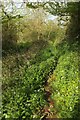 Path in the Land Yeo valley