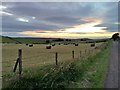 NY0817 : Farmland near Croasdale by Richard Thomas