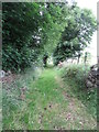 The entrance to the Rock Lane path on Burren Road