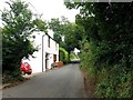 Chapel Lane, Ripple