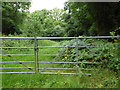 Gateway on eastern edge of Bowzell Wood