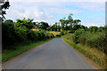 On the Road between Husthwaite and Coxwold (1)