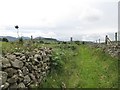 Wire fenced topped dry stone walls on Cashel Lane