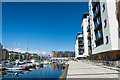 The marina and apartment buildings at Portishead