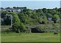 Railway line in Polmont, Falkirk