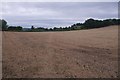 Harvested rape field, Caynham