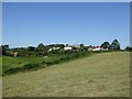 Fields on White Hill, Between Beer and Seaton