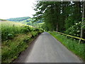 Along the lane to Wildboarclough