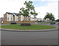 Young tree on a Lower Penarth roundabout