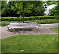 Metal bench around a tree, Lower Penarth