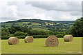 Hay bales at Bowhayes