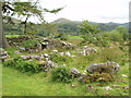 Ruin, Blaenau Dolwyddelan