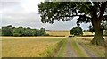 Track from Lodge Cottages