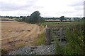 Stubble, Exford Green