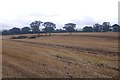 Stubble, Exford Green