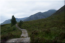 NH1522 : Track along the north side of Loch Affric by Mike Pennington