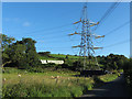 Pylon beside country lane to north of Abercynon