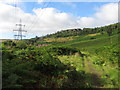 Canal bank near Abercynon