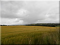 Field at Bandon, near Glenrothes