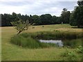 Knole Park