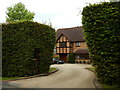 Oxshott - Tall Hedges on Birds Hill Drive