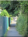 Footpath north of Botany Stream