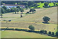 Distant view of harvesting