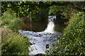 Mid Devon : River Creedy