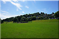 Playing fields below Rodborough Hill