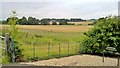 Looking towards Beesthorpe Hall